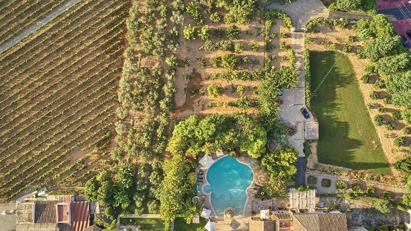 Sa Vinya des Convent Agroturismo - Genel
