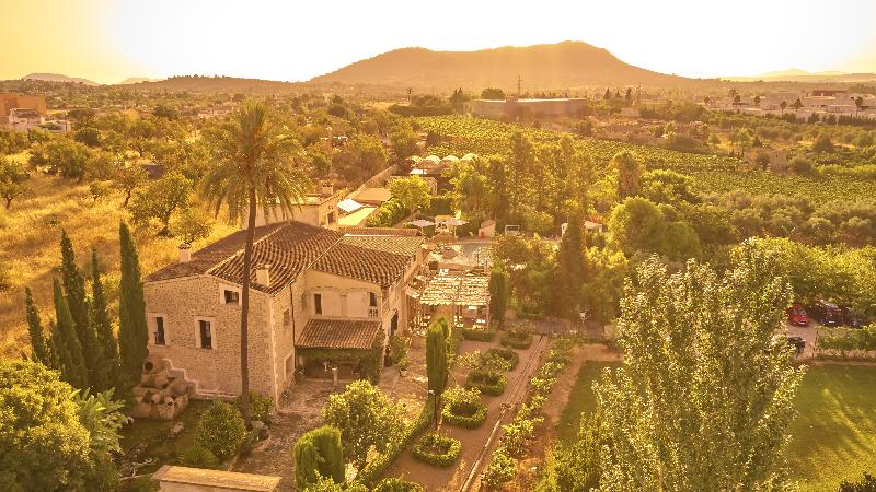 Sa Vinya des Convent Agroturismo - Genel