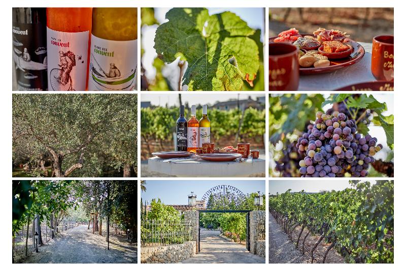 Sa Vinya des Convent Agroturismo - Genel