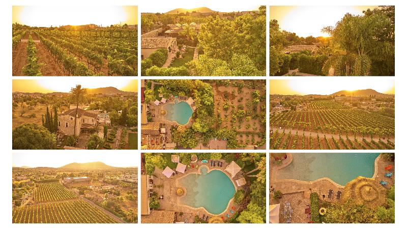 Sa Vinya des Convent Agroturismo - Genel