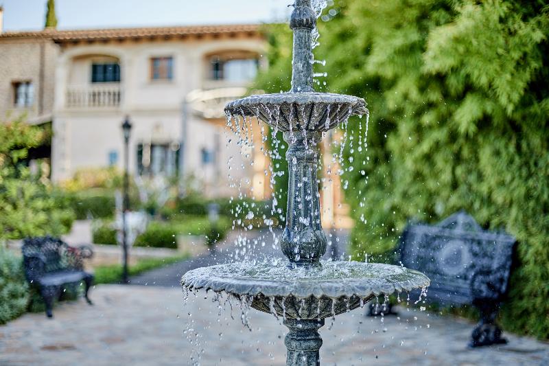 Sa Vinya des Convent Agroturismo - Genel