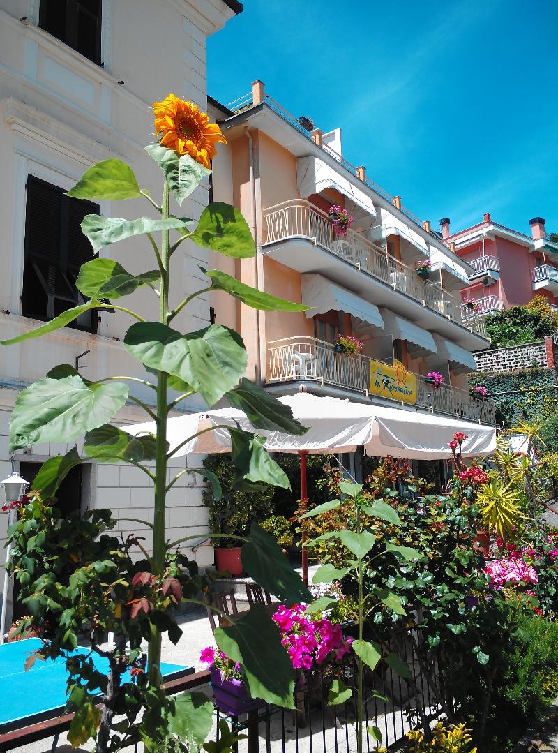 Hotel Eva la Romantica - Genel