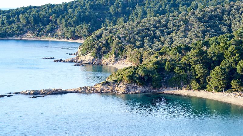 Elivi Skiathos - Plaj