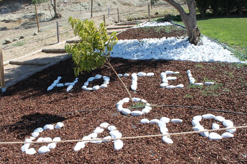 Hotel O Gato & SPA - Genel
