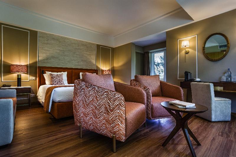 Grão Vasco - Historic Hotel and SPA - Oda