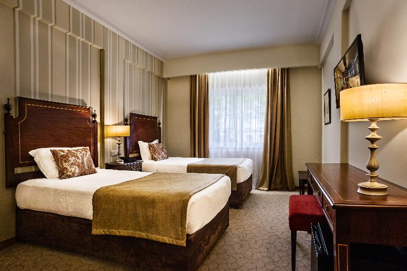 Grão Vasco - Historic Hotel and SPA - Oda
