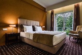 Grão Vasco - Historic Hotel and SPA fotoÄŸrafÄ±