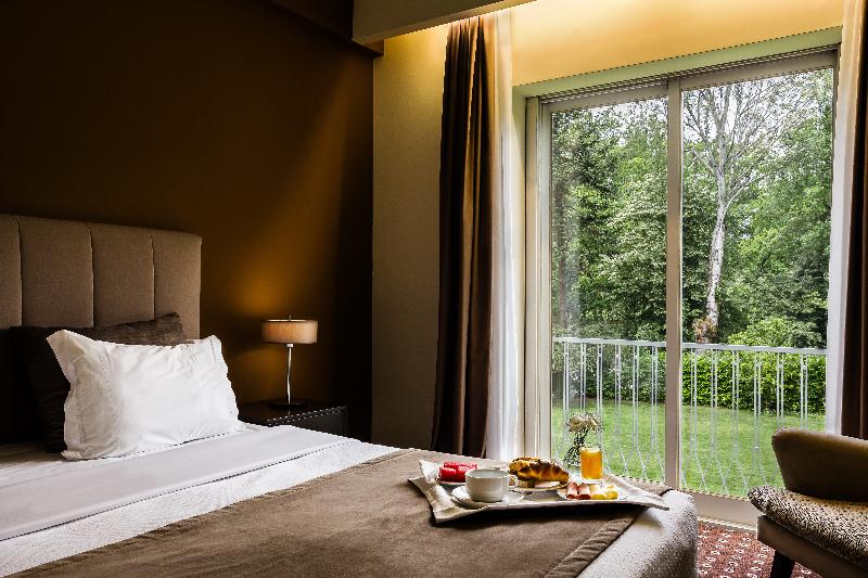 Grão Vasco - Historic Hotel and SPA - Oda