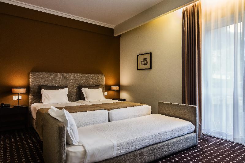 Grão Vasco - Historic Hotel and SPA - Oda