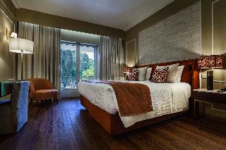 Grão Vasco - Historic Hotel and SPA fotoÄŸrafÄ±