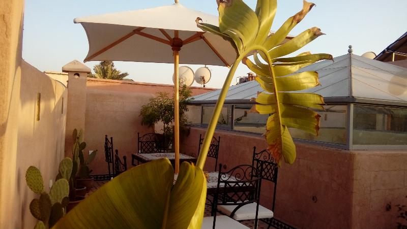 Riad Miral - Teras