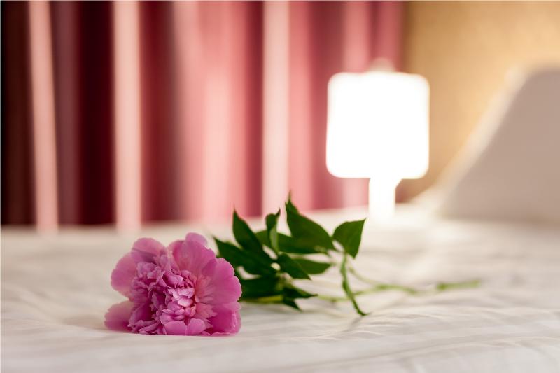 Tomis Garden Aparthotel - Oda