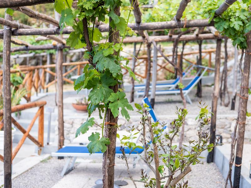 Albergo Diffuso Bacco Furore - Oda