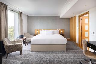Hilton London Gatwick Airport fotoÄŸrafÄ±