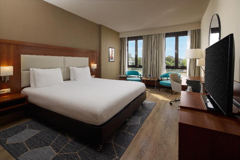 Crowne Plaza Maastricht - Oda