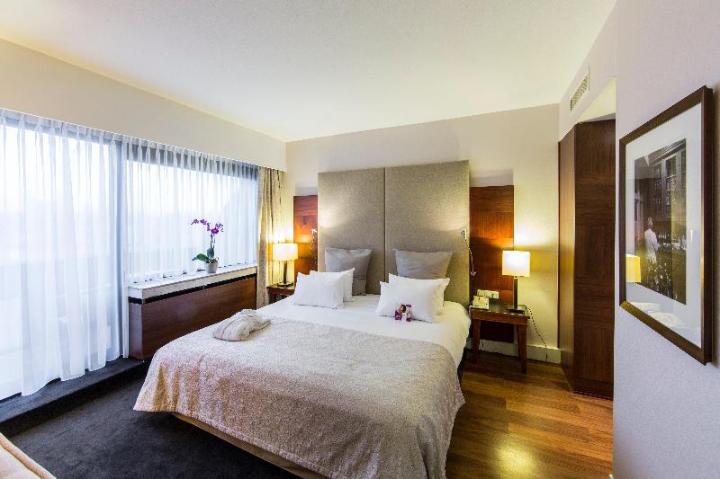 Crowne Plaza Maastricht - Oda