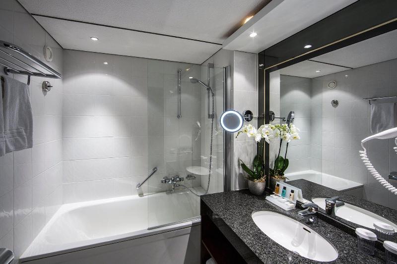 Crowne Plaza Maastricht - Oda