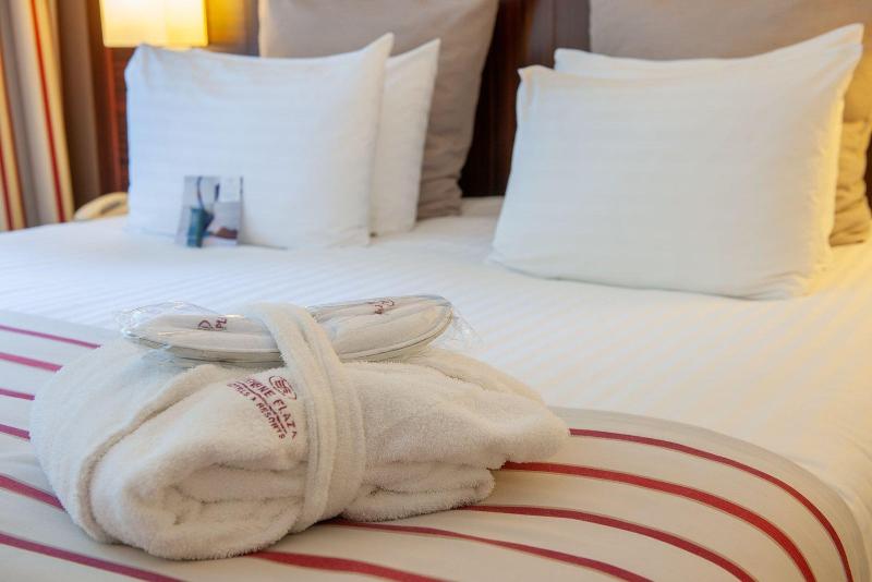 Crowne Plaza Maastricht - Oda