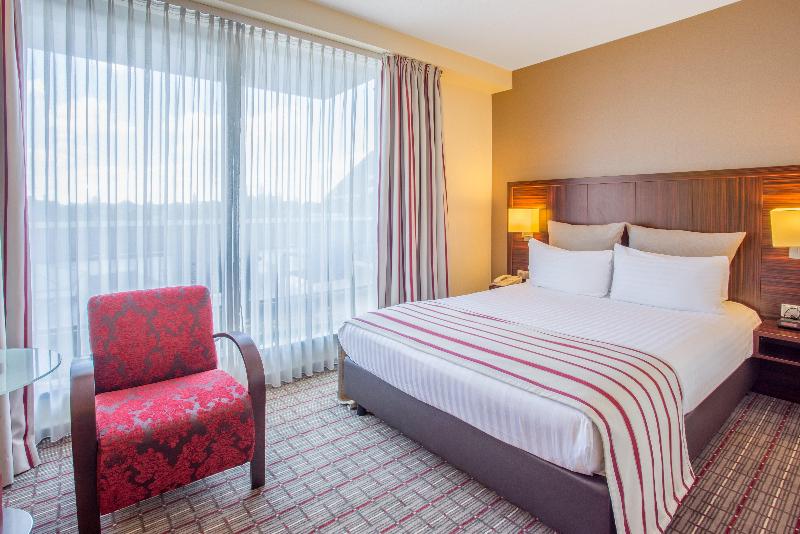 Crowne Plaza Maastricht - Oda