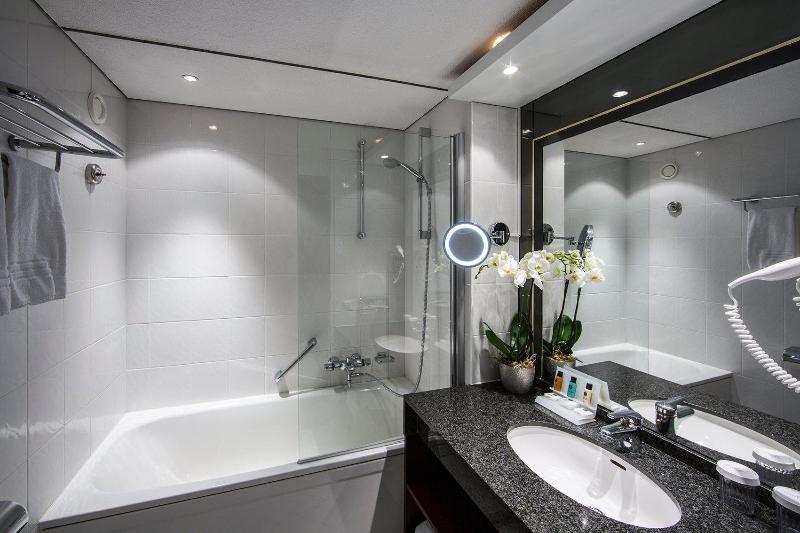 Crowne Plaza Maastricht - Oda