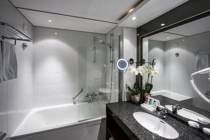Crowne Plaza Maastricht - Oda