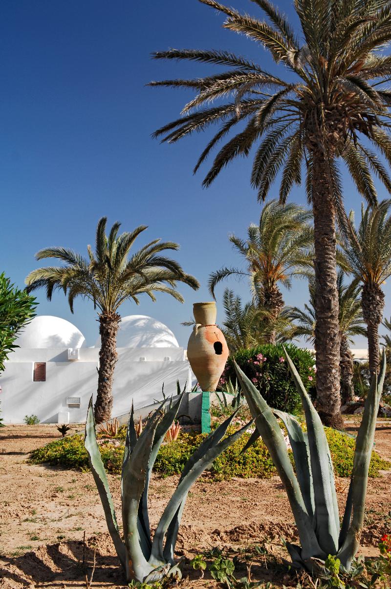 Monarque Dar Jerba Zahra - Genel