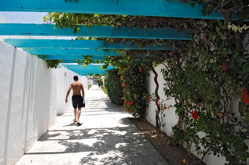 Monarque Dar Jerba Zahra - Genel