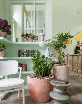 Eden Locke, George Street fotoÄŸrafÄ±