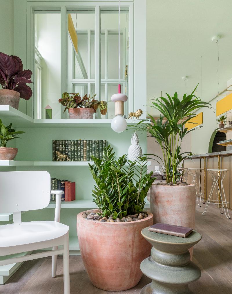 Eden Locke, George Street - Lobi
