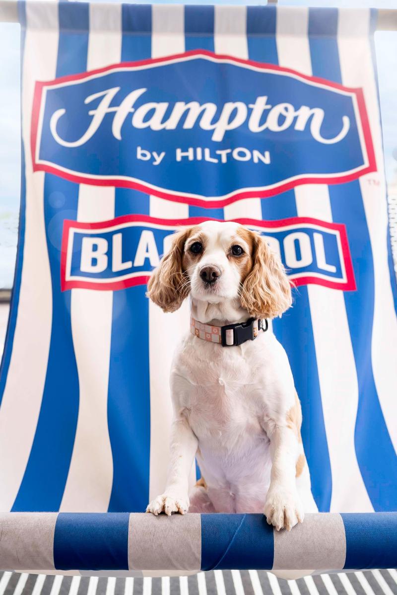 Hampton by Hilton Blackpool - Genel