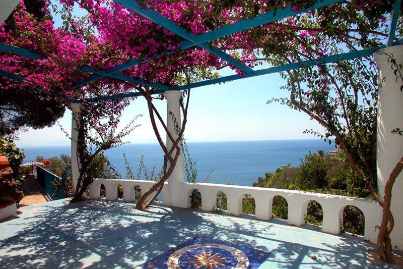 Villa Demetra - Genel