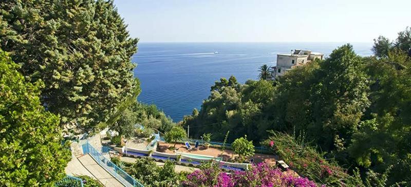 Villa Demetra - Genel