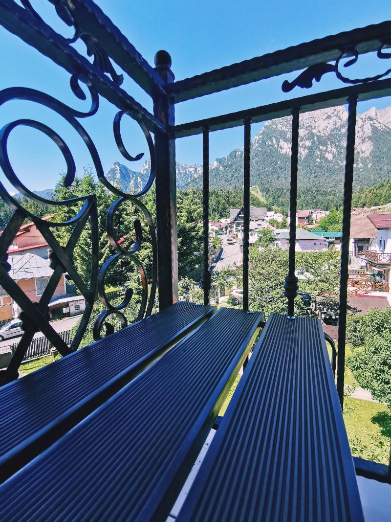 Iri Busteni Hotel - Genel