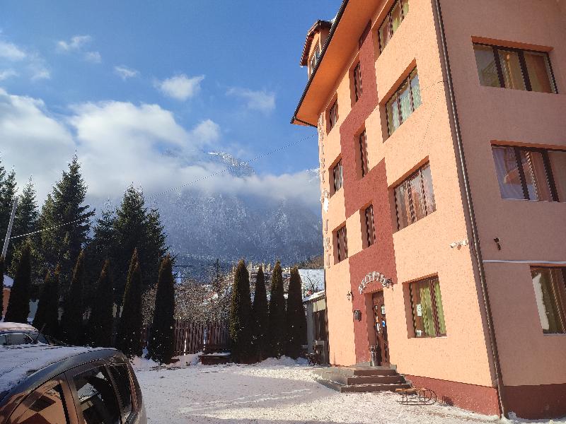 Iri Busteni Hotel - Genel