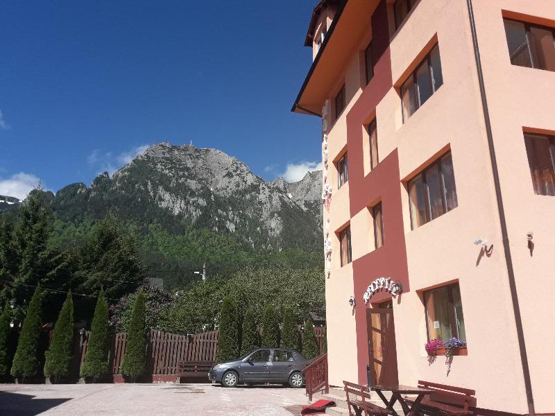 Iri Busteni Hotel - Genel
