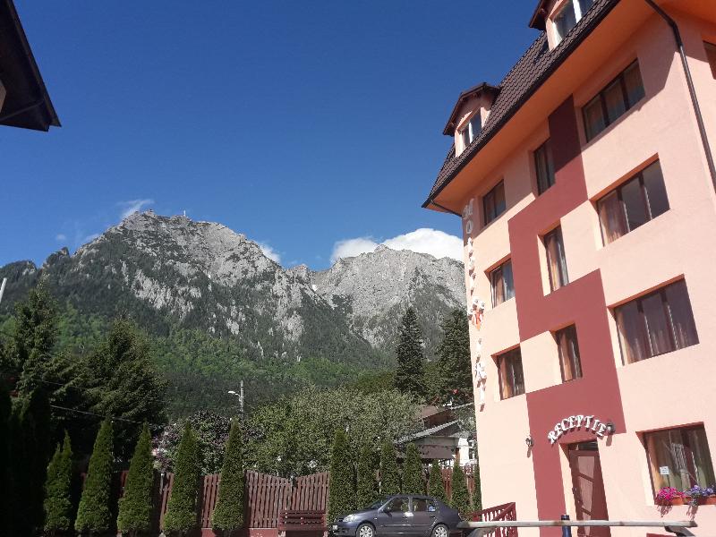 Iri Busteni Hotel - Genel