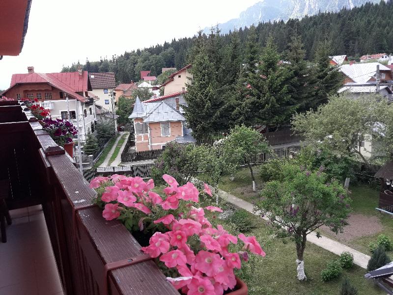 Iri Busteni Hotel - Genel