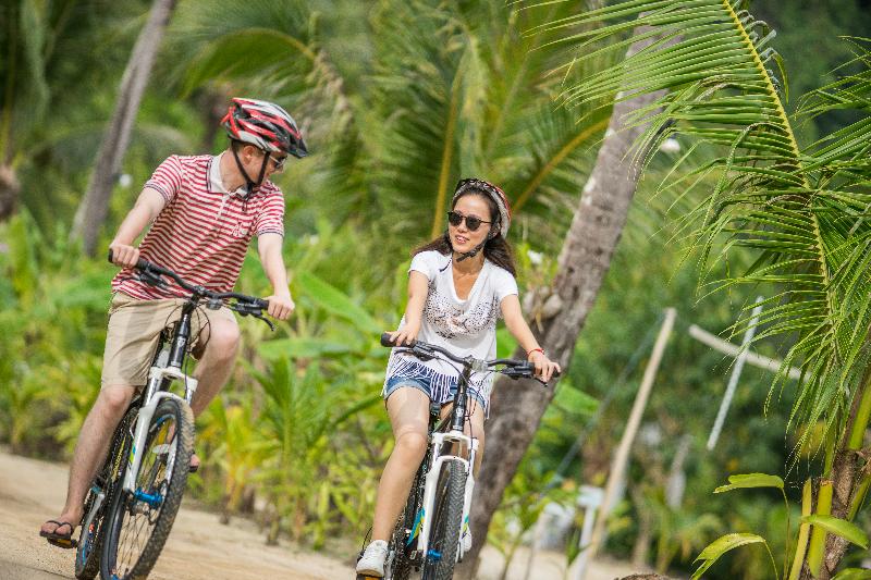 TreeHouse Villas Koh Yao - Aktivite