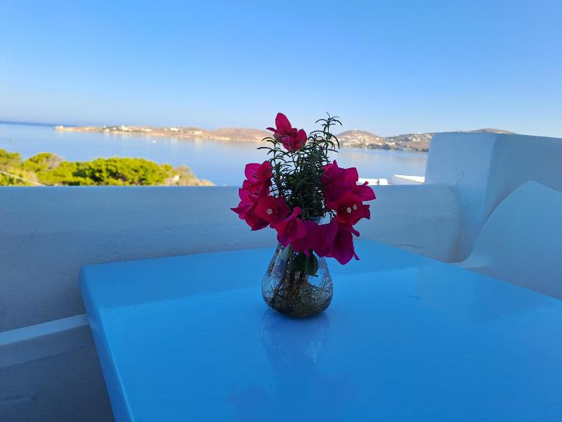Stratos Apartments & Studios - Genel