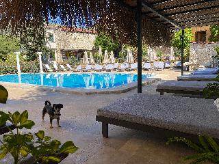 True Blue Boutique Hotel fotoÄŸrafÄ±