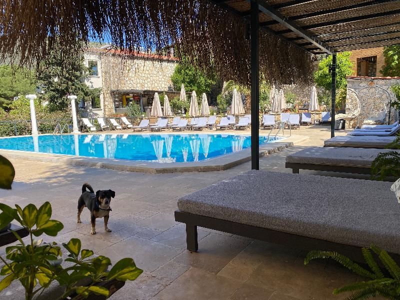 True Blue Boutique Hotel - Genel
