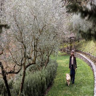 La Pensione di Vignamaggio fotoÄŸrafÄ±