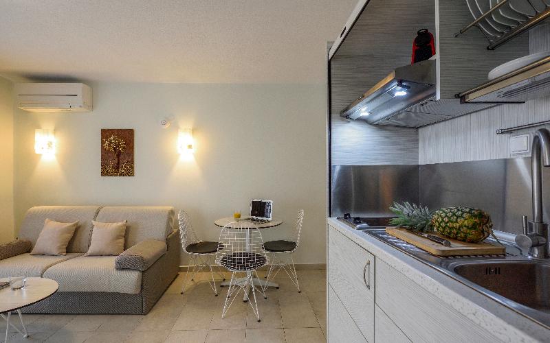 Elpiniki Luxury Apartments - Oda