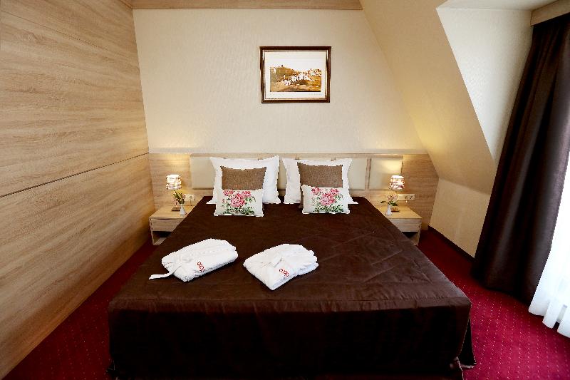 COOP Hotel Sofia - Oda