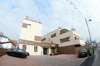 Gallus fotoÄŸrafÄ±