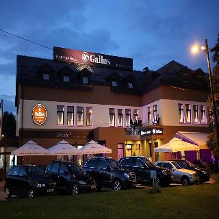 Gallus fotoÄŸrafÄ±