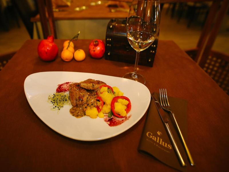 Gallus - Genel