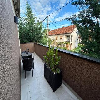 Gallus fotoÄŸrafÄ±
