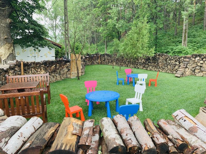 Wolkendorf Bio Hotel & Spa 20 km from Brasov - Aktivite
