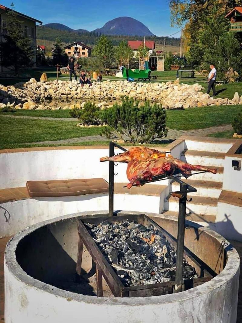 Wolkendorf Bio Hotel & Spa 20 km from Brasov - Aktivite
